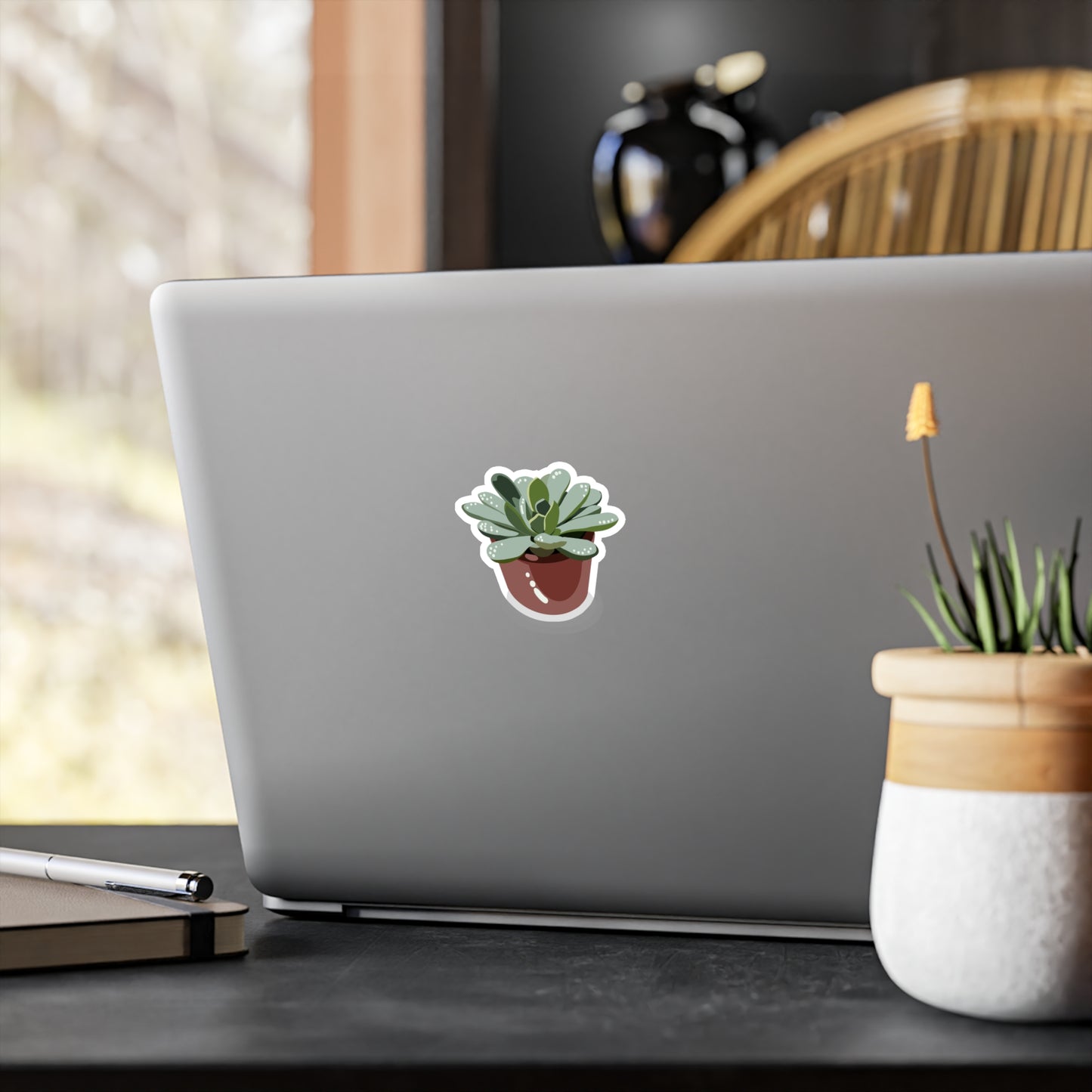 Succulent plant